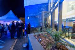 gallery-image-9